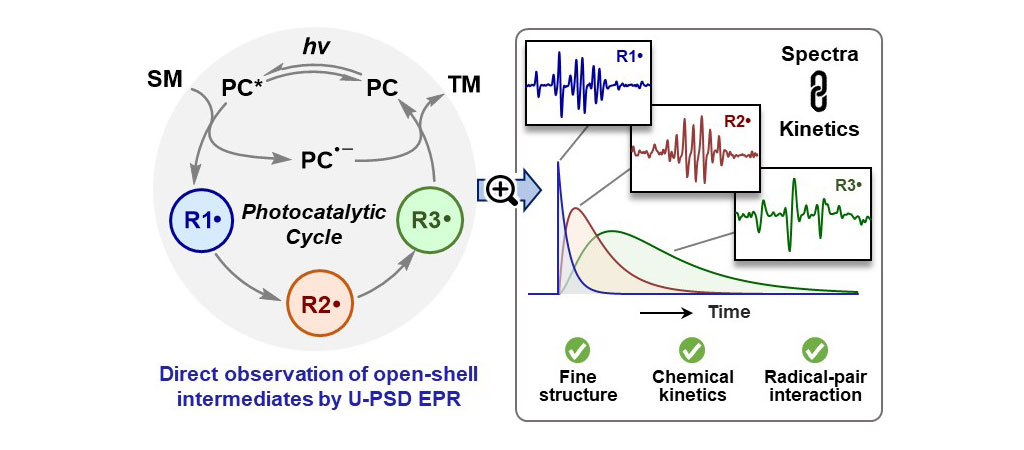 direct-observation-photocatalytic-cycle.jpg