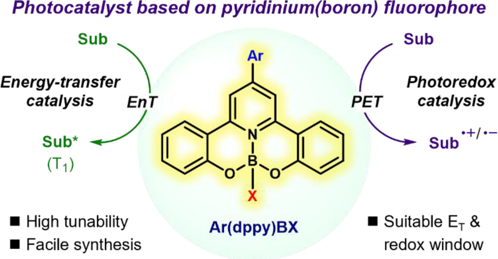 pyridinium-boron-2026.jpg